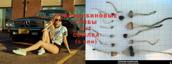 марки lsd Алексин