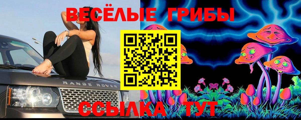 Галлюциногенные грибы прущие грибы  Псилоцибиновые грибы мухоморы  Кудрово  Вход с VPN 