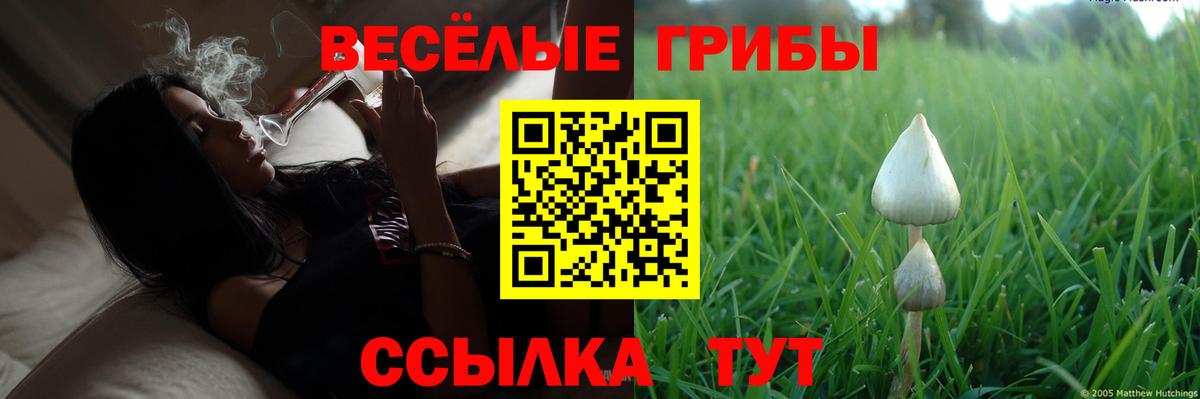 Псилоцибиновые грибы ЛСД Кудрово